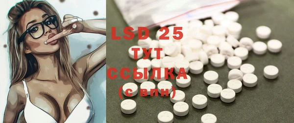 гидра Богданович