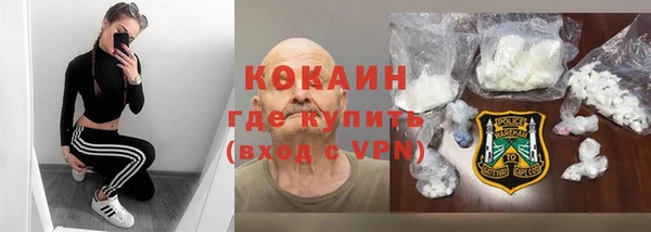 гидра Богданович
