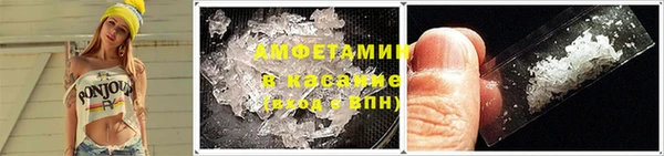гидра Богданович