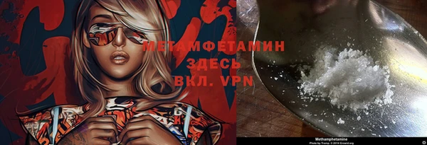 гидра Богданович