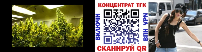 дарнет шоп Наро-Фоминск ТГК вейп с тгк